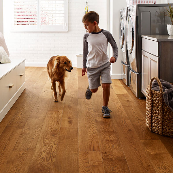 boy and dog running on laminate floor